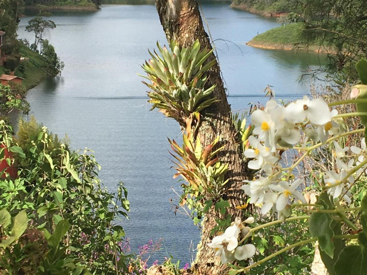 Ecolodge Bahia Del Penon Guatape Bagian luar foto