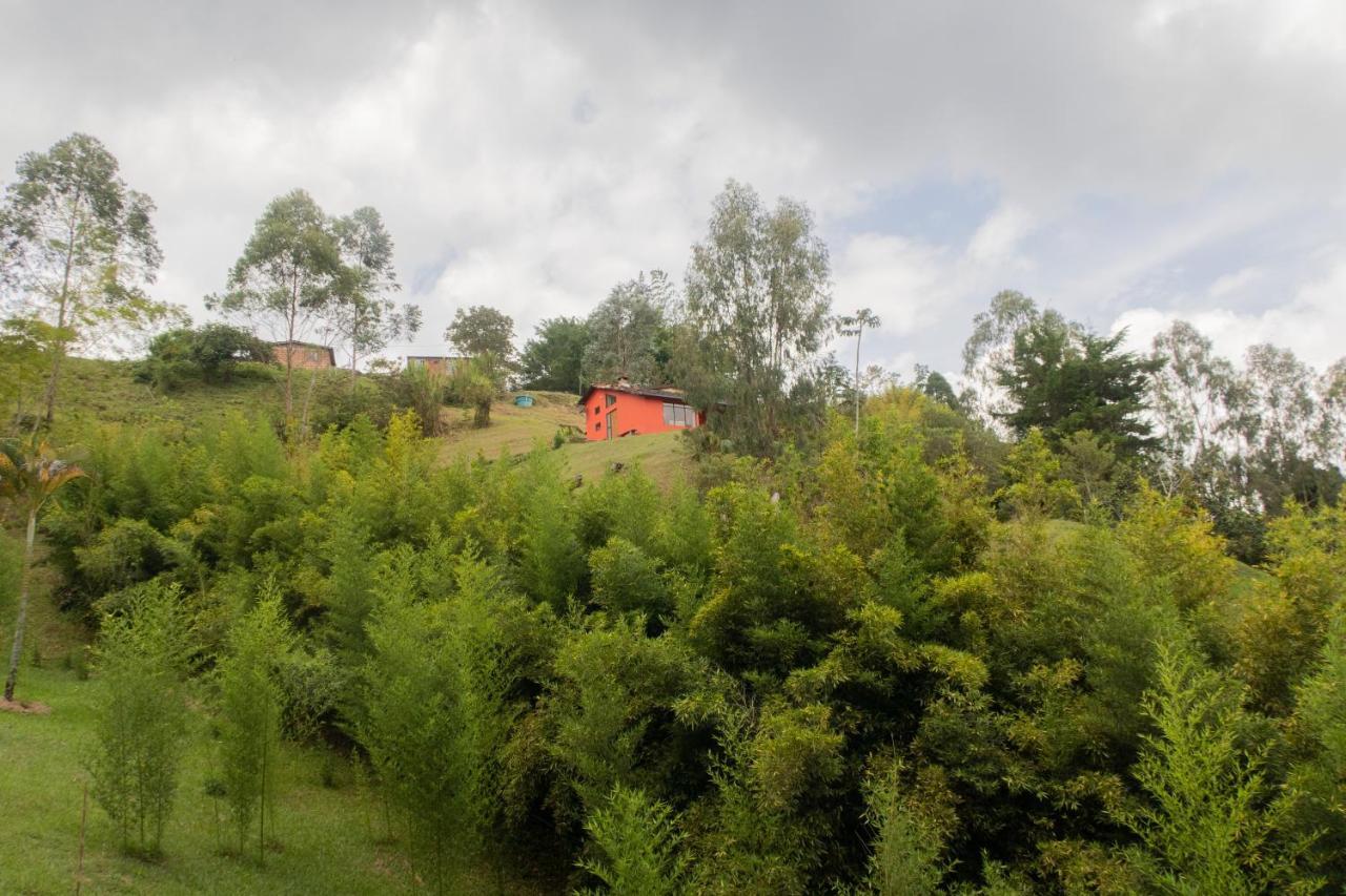 Ecolodge Bahia Del Penon Guatape Bagian luar foto